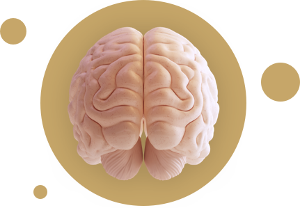 cognitive