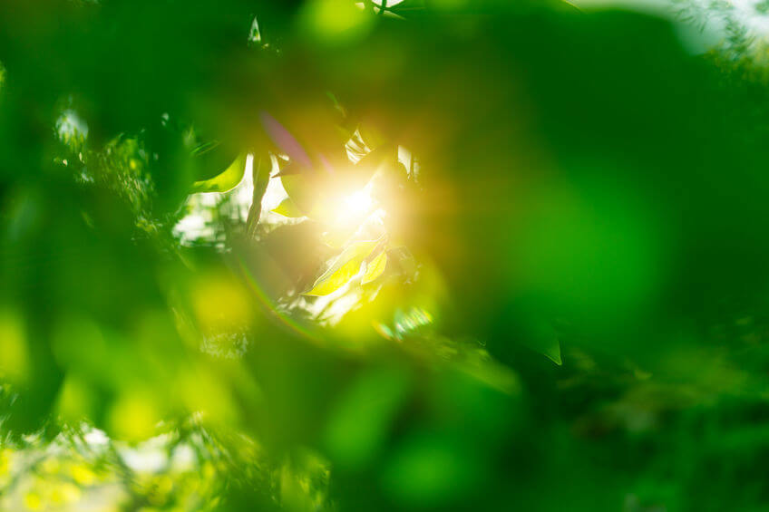 The Sun, Vitamin D, And Mental Health: What Is The Relationship?
