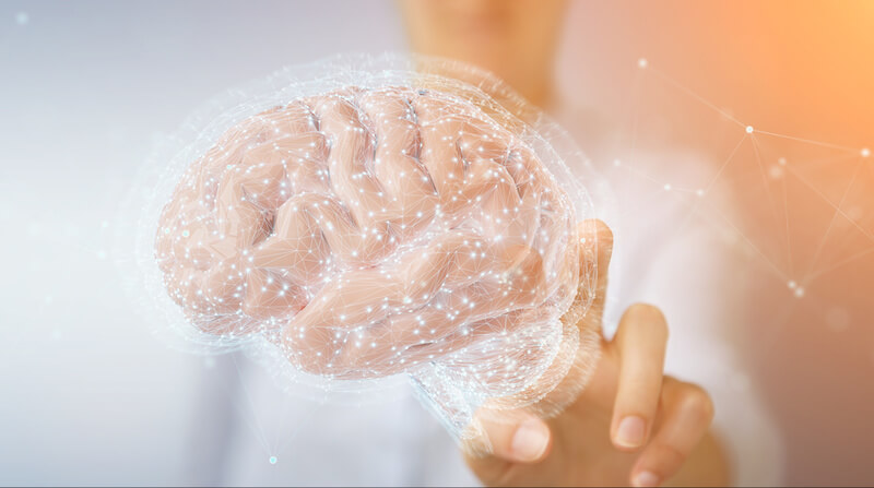 Principles Of Neuroplasticity (What It Is, How It Works, And More)